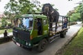 An elephant due to participate in the Esala Perahera arrives on a truck at the Sacred Temple of the Tooth Relic complex in Kandy,