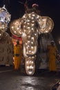 Elephant at the Esala Perahera festival in Kandy Royalty Free Stock Photo