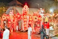 Ceremonial elephants parade through the streets of Kandy during the Esala Perahera in Sri Lanka. Royalty Free Stock Photo