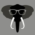 Elephant face head glasses vector illustration flat style front