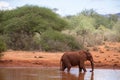 Elephant family in a landscape of Africa, Kenya, Tsavo National Park. Animals at the waterhole. Safari, game drive, savanna Royalty Free Stock Photo