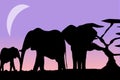 Silhouhettes of an Elephant Family in the Moonshine Royalty Free Stock Photo