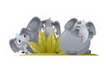 Elephant Family with Parent and Sweet Baby Playing Hide-and-seek Together Vector Illustration Royalty Free Stock Photo