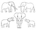 Elephant family. Set of elephants. Linear vector. Vector illustration on white background Royalty Free Stock Photo