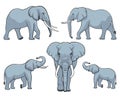 Elephant family. Set of elephants. Vector illustration on white background Royalty Free Stock Photo