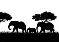 Elephant family silhouette