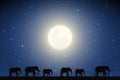 Elephant family walking in desert on moonlight night Royalty Free Stock Photo