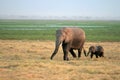 Elephant female with young - National park Ambosel Royalty Free Stock Photo