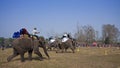 Elephant festival, Chitwan 2013, Nepal