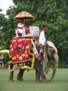 Elephant Festival, Jaipur, India