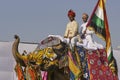 Elephant Festival in Jaipur, India