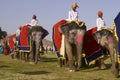 Elephant Festival in Jaipur, India