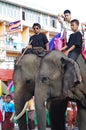 Elephant festival in Surin