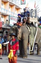Elephant festival in Surin