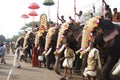 Elephant festival of Thrissur