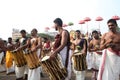 Elephant festival of Thrissur