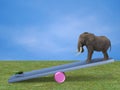 Elephant and fly on a seesaw