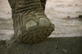 Elephant foot Royalty Free Stock Photo