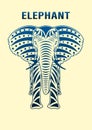 Elephant front view, isolated