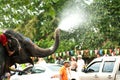 Elephant fun in water festival .