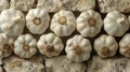 Elephant garlic bulbs, a natural food ingredient, resting on a stone wall Royalty Free Stock Photo