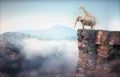 Elephant and giraffe sitting on edge of a cliff and admiring the mountain landscape