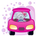 Elephant girl in a car