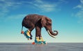 Elephant goes on rollers. Impossible and happiness concept Royalty Free Stock Photo