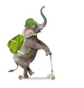 Elephant going to holidays. Royalty Free Stock Photo