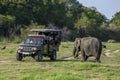 An elephant grazes next to a tourist safari jeep.