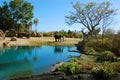 Elephant habitat Royalty Free Stock Photo