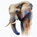 elephant head , animal, watercolor illustration isolated on white background, generative ai Royalty Free Stock Photo