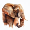 elephant head , animal, watercolor illustration isolated on white background, generative ai Royalty Free Stock Photo