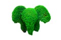Elephant head design hedges cut green tree isolated on white background. Royalty Free Stock Photo