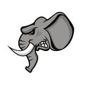 Elephant head isolated on white background. Sport team or club e Royalty Free Stock Photo