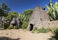 Elephant head like traditional Dorze houses. Hayzo village, Omo