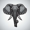 Elephant Head Logo Mascot Vector Premium Design