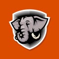 Elephant head mascot logo for sports team Royalty Free Stock Photo