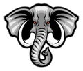 Elephant head mascot Royalty Free Stock Photo