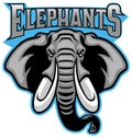 Elephant head mascot Royalty Free Stock Photo