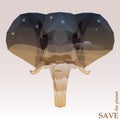 Elephant head with night Savannah view. concept illustration on the theme of protection of nature and animals Royalty Free Stock Photo