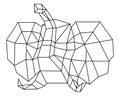 Elephant head polygon