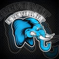 Elephant head from the side view with bared teeth. Logo for any sport team Royalty Free Stock Photo