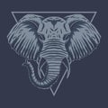 Elephant head vector illustration Royalty Free Stock Photo