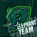 Elephant head vector mascot logo design vector with modern illustration concept style for emblem and tshirt printing. elephant ill Royalty Free Stock Photo