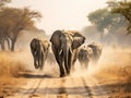 Ai Generated illustration Wildlife Concept of Elephant herd walking towards camera in Savuti in Botswana Royalty Free Stock Photo