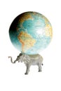 Elephant holding earth