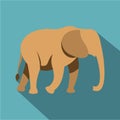 Elephant icon, flat style