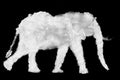 Elephant icon shape made of clouds on black back Royalty Free Stock Photo