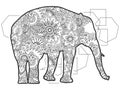 Elephant Illustration. Black And White Animal Hand Drawn Doodle